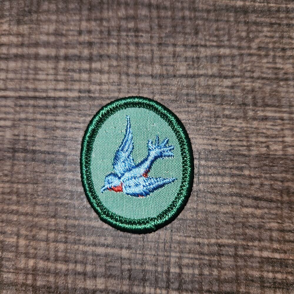Vintage Girl Scout Bluebird Troop  Badge